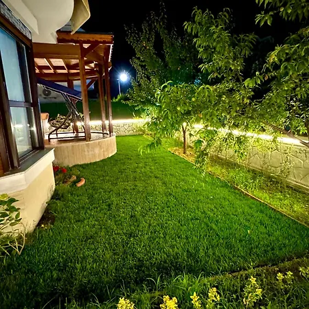 Polina Brn Villa *